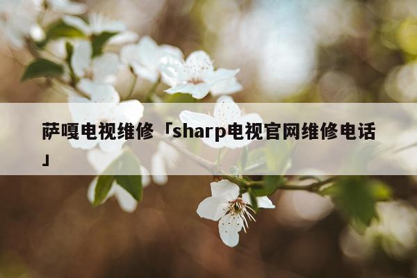 萨嘎电视维修「sharp电视官网维修电话」