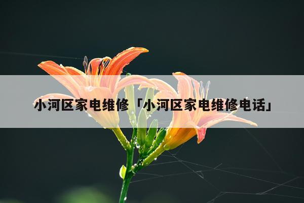 小河区家电维修「小河区家电维修电话」