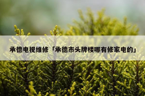 承德电视维修「承德市头牌楼哪有修家电的」