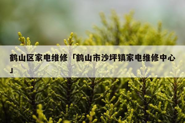 鹤山区家电维修「鹤山市沙坪镇家电维修中心」