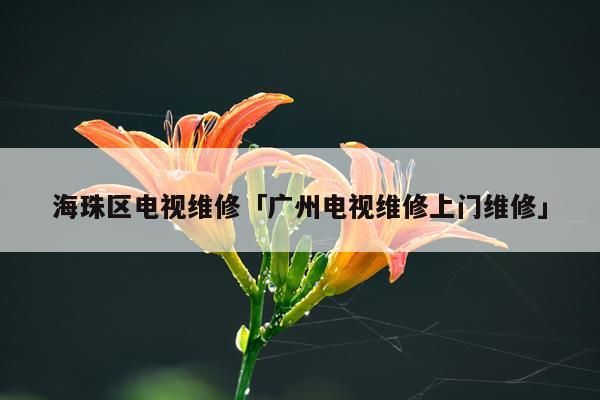 海珠区电视维修「广州电视维修上门维修」