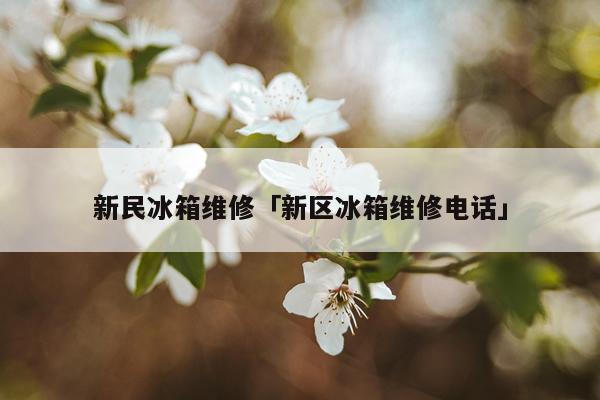 新民冰箱维修「新区冰箱维修电话」